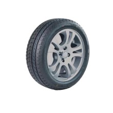 225/60 R17 Roadmarch Snowrover 868 99H