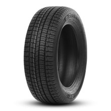195/65 R15 Double Coin DW-300 95H XL